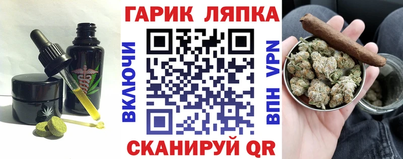 Купить закладки  Медногорск  Cannafood конопля 