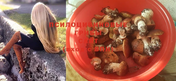 прущая мука Елабуга
