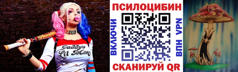 Купить где  Медногорск  Псилоцибиновые грибы MAGIC MUSHROOMS 